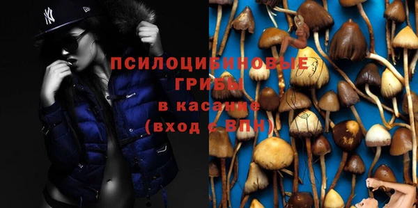 СК Корсаков
