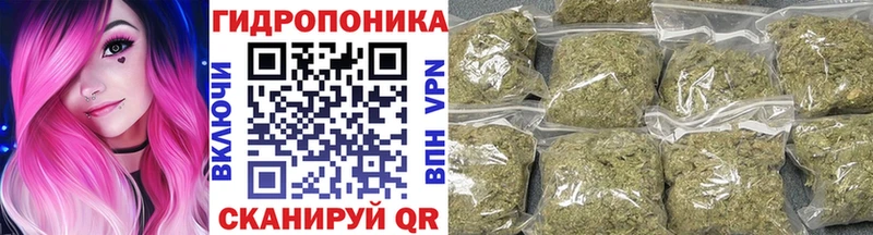 Конопля LSD WEED  закладки  Камышин 